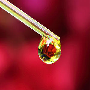 Schilddr&uuml;sen-Therapeutika - zum Direkten Auftragen auf die Schilddr&uuml;se