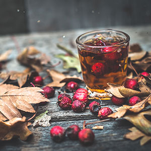 Bitterstoff Pr&auml;perate - bitterstoffe pr&auml;perat